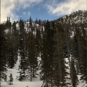 Meet your Posher, Dani